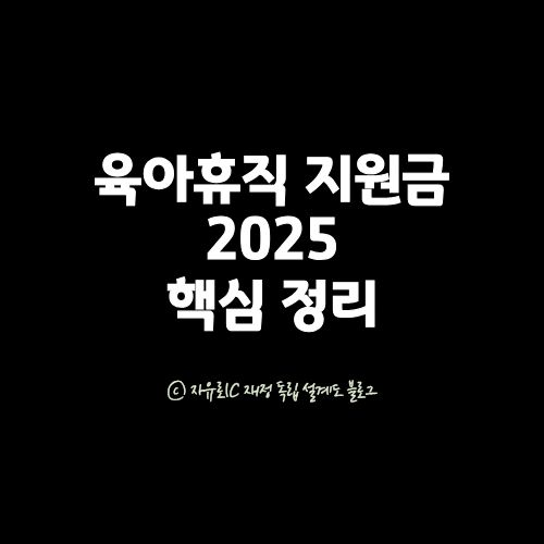 육아휴직 지원금과 육아기 근로시간 단축 지원금 구조 설명 이미지