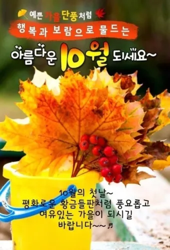 10월 인사말 예시 모음 영어_27