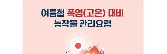 여름 고온기 관리 차광망 환기 관수 병해 예방 루틴_7