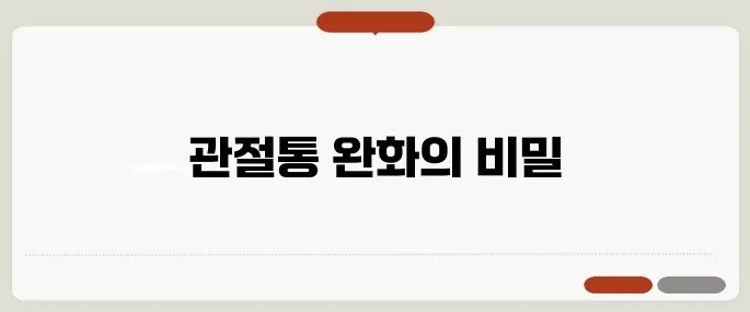 콘드로이친 효능 관절통증 줄이는 핵심 성분