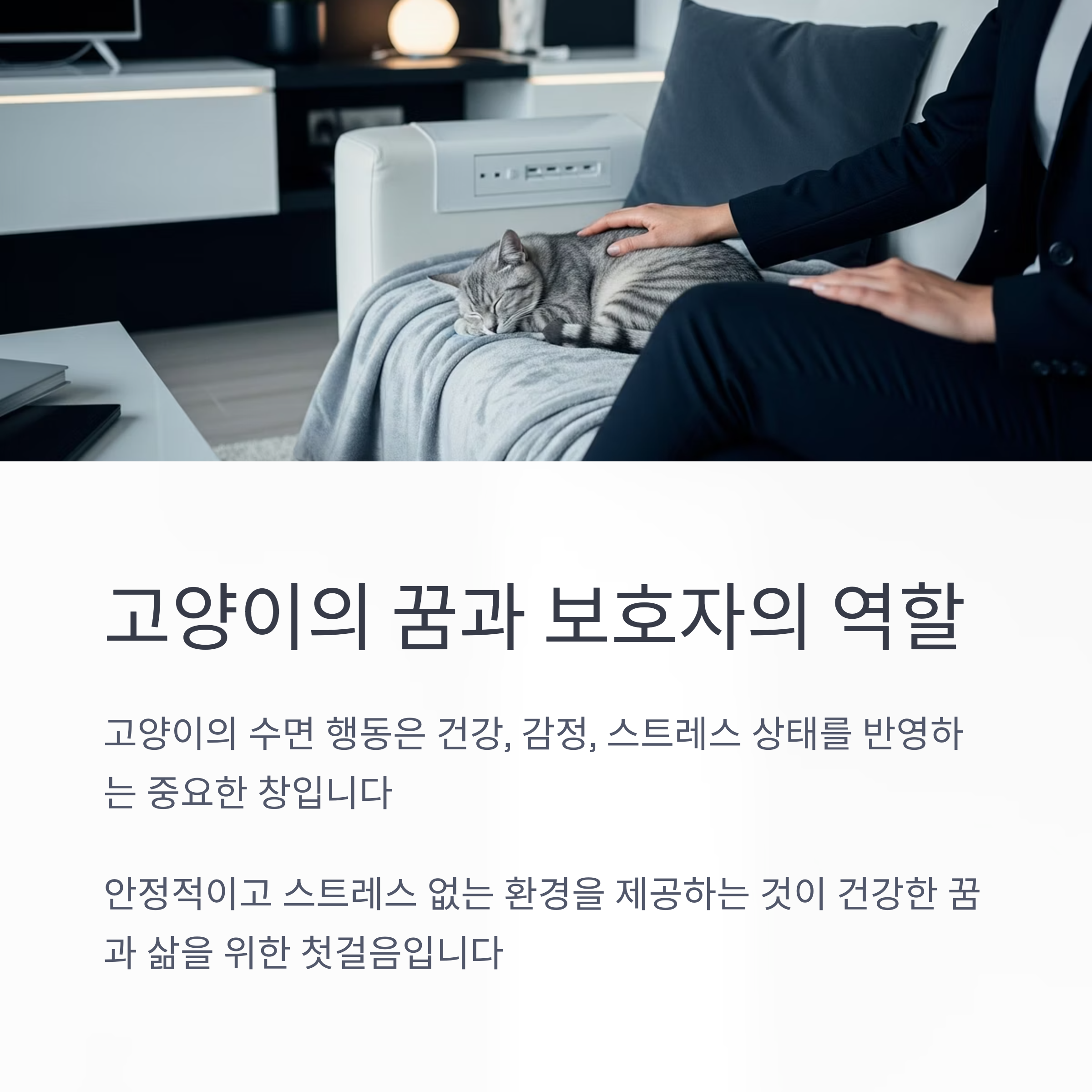 고양이의 꿈과 보호자의 역할