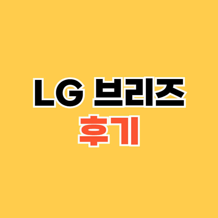 LG-브리즈-후기