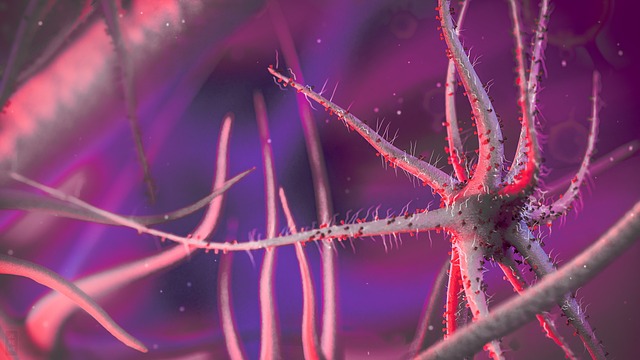 마쿠나푸라 바이러스(Makunapura Virus)의 미스터리