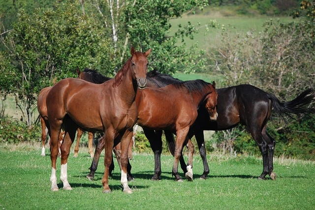 2025년 8월 29일 오늘의 띠별 운세