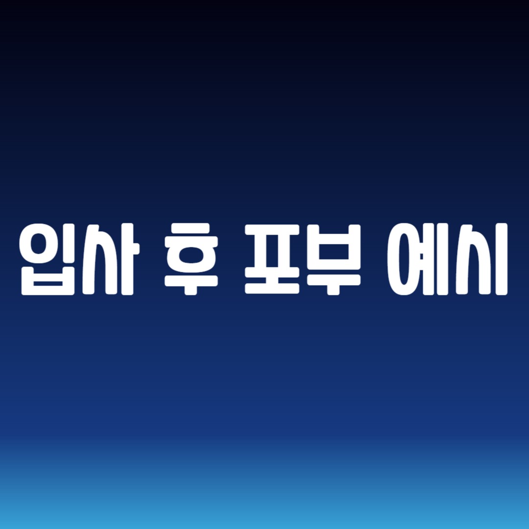 입사 후 포부 예시