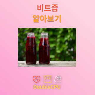 비트즙 탐구