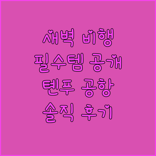 새벽 비행 필수템 톈푸 공항 캡슐 호