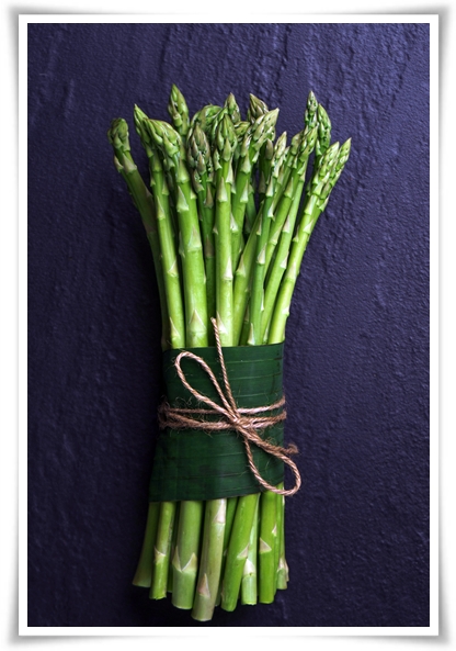 텃밭 &quot;아스파라거스 기르기&quot; 한 번 심으면 10년 동안 거두는 황금 채소!