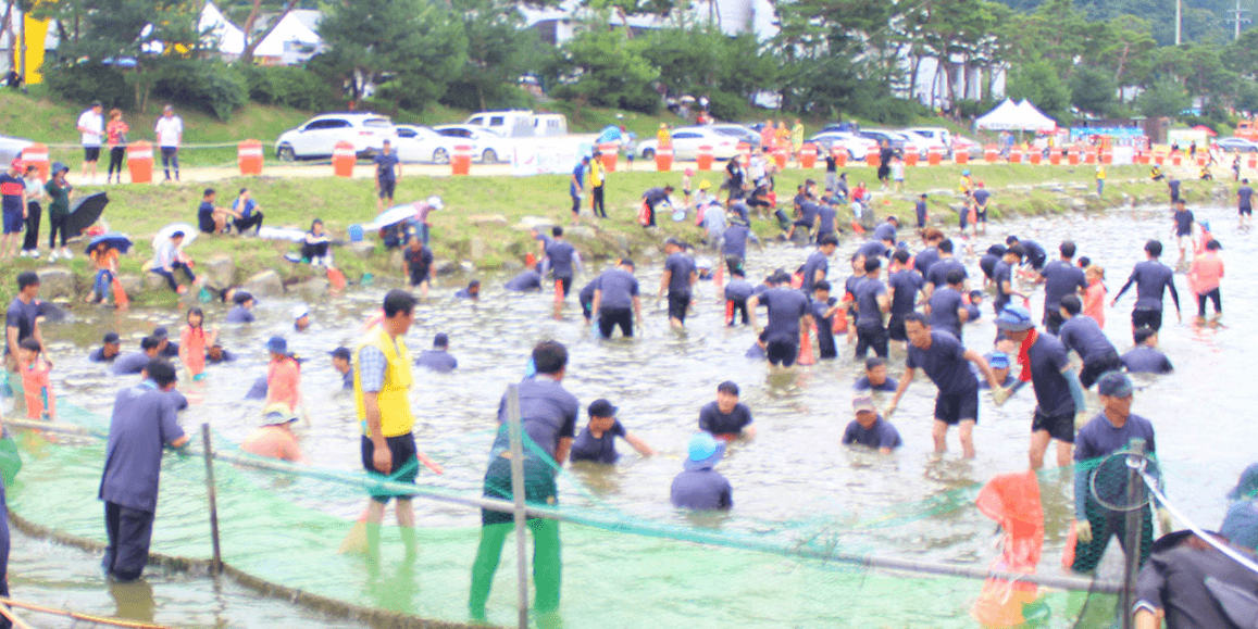 민물고기 잡기 행사1