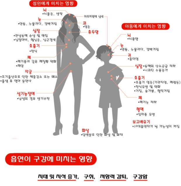 각종 질병의 원인