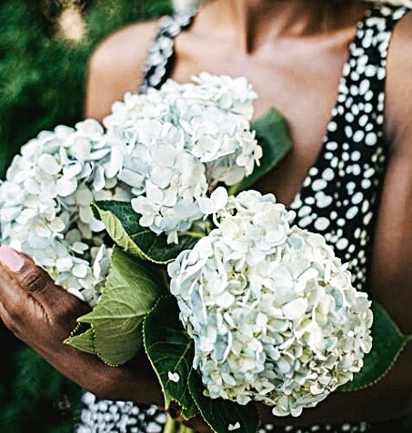 하얀-수국-들고-있는-모습