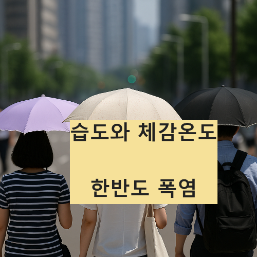 Alt 속성 문제 해결 설명 이미지