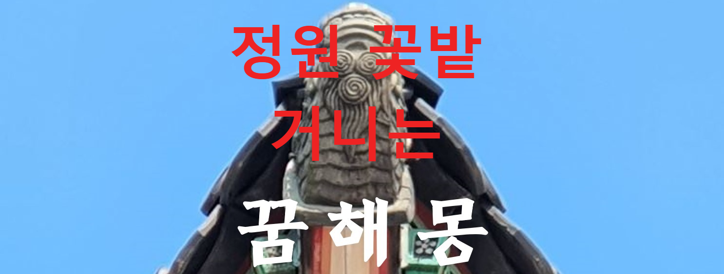 꿈해몽