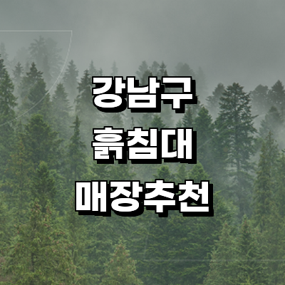 서울 강남구 흙침대
