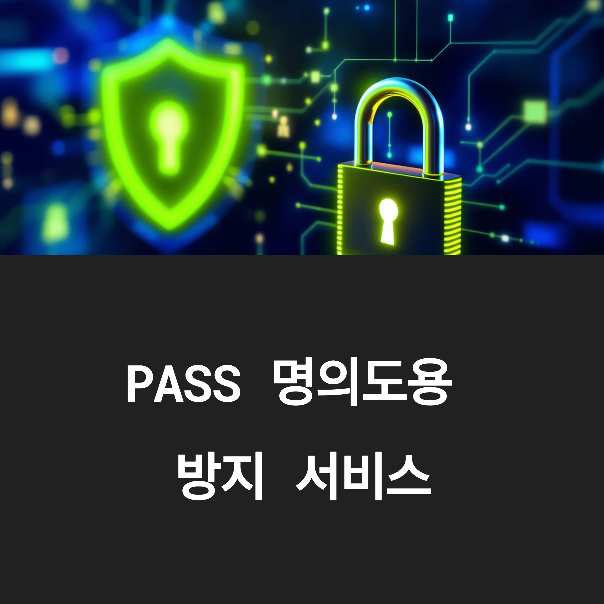 PASS 패스 명의도용 방지 서비스