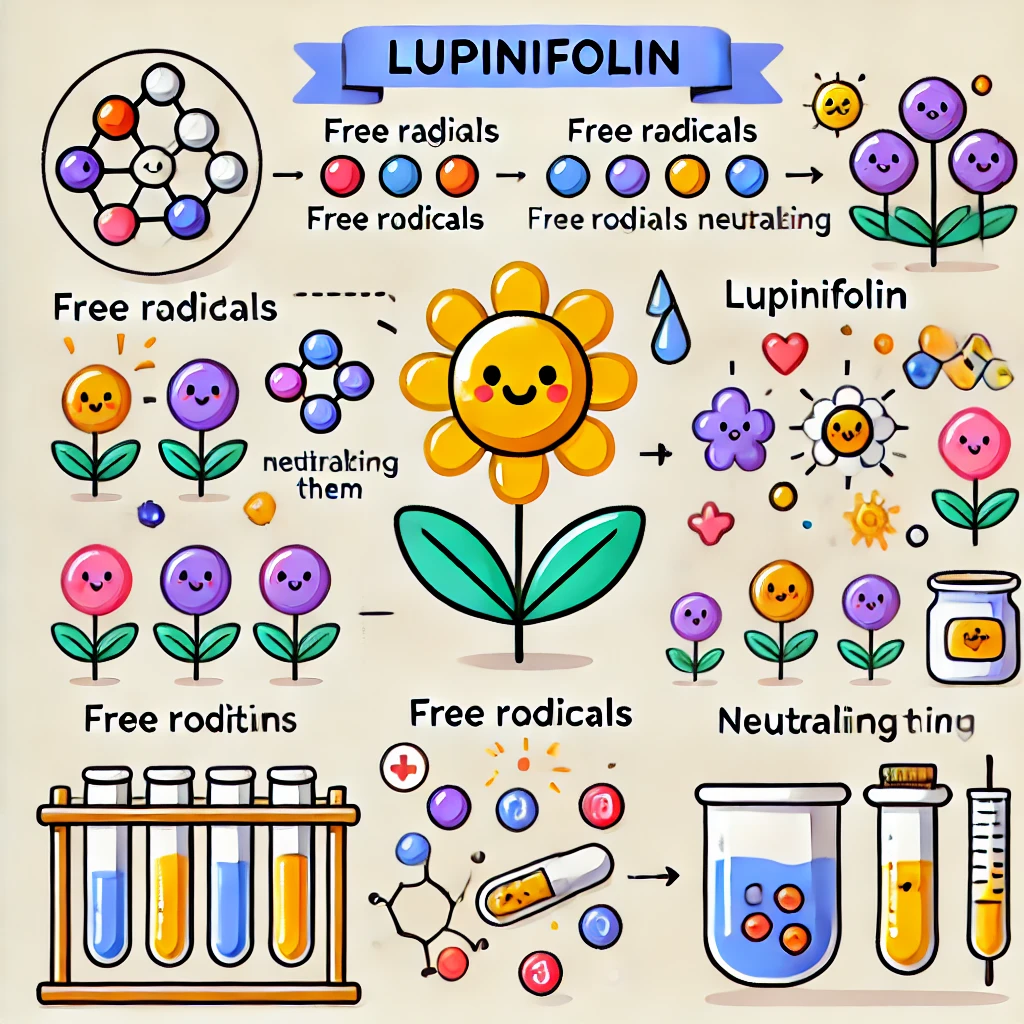 루피니빈의 항산화 효과를 보여주는 교육용 일러스트레이션