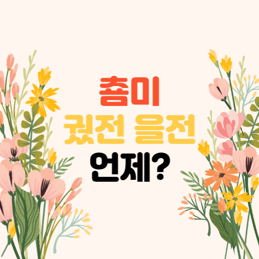 춈미을전
