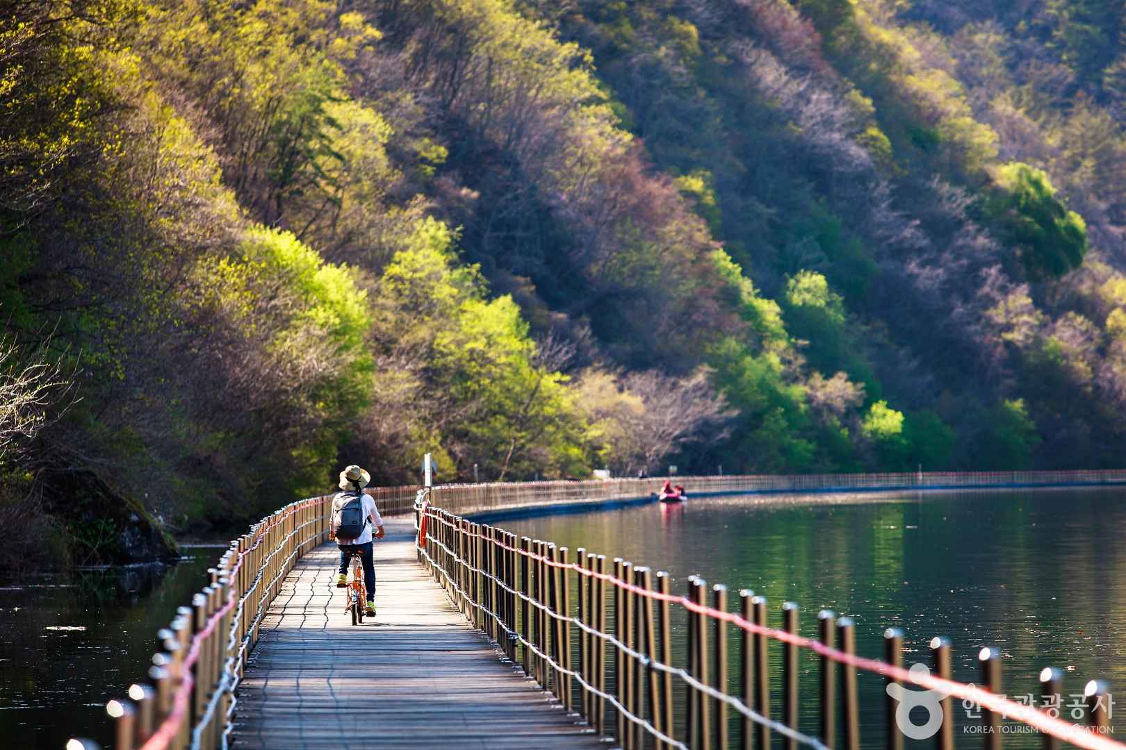 화천 숲으로다리