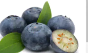 블루베리1