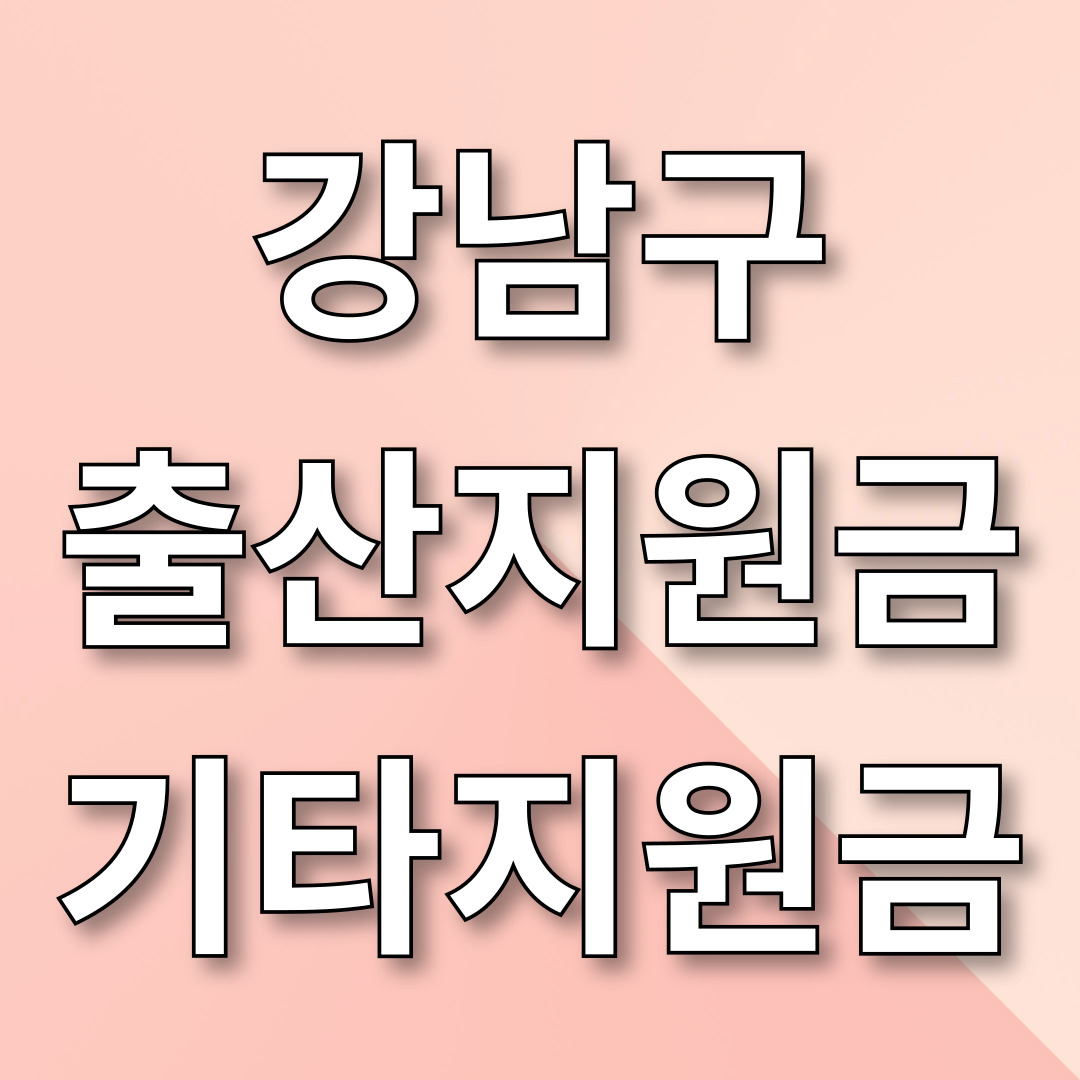 강남구 출산지원금