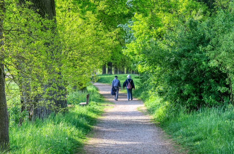 100세 시대 산책 관련 사진