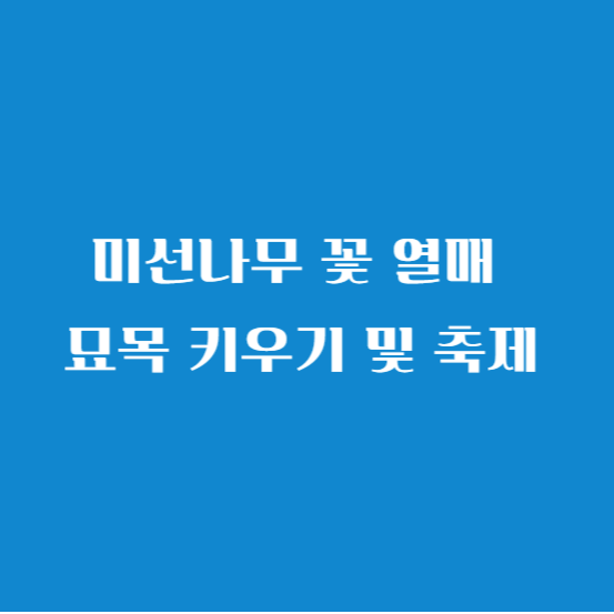 미선나무 꽃 열매 묘목 키우기 및 축제