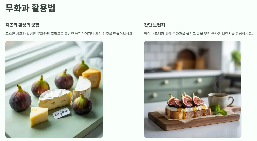 활용법