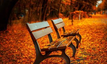 갱년기가 오는 시기와 어울리는 계절