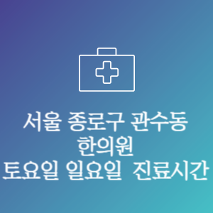 서울 종로구 관수동 주말 토요일 일요일 문여는 병원 진료시간