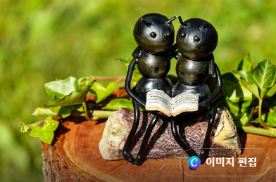 quot;연금 개미quot;가 되는 법? 국민연금 가입부터 수령까지