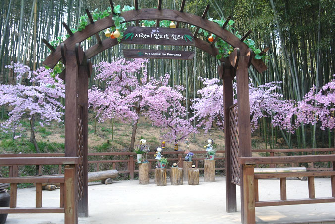 국내 5월 여행지