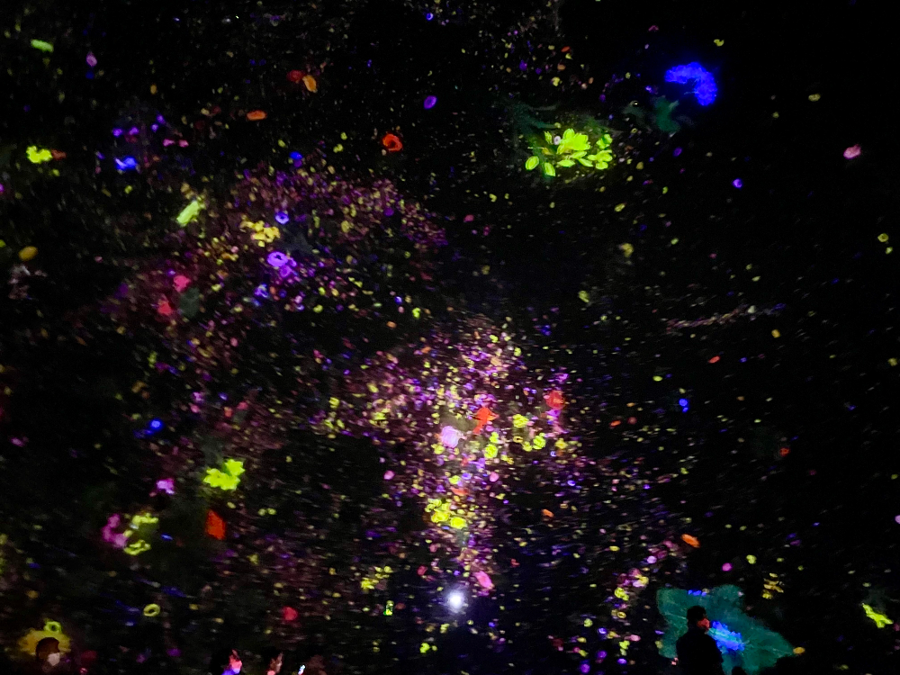 일본 도쿄 팀랩플래닛 관람-떨어지는 꽃들의 우주에 떠다니며