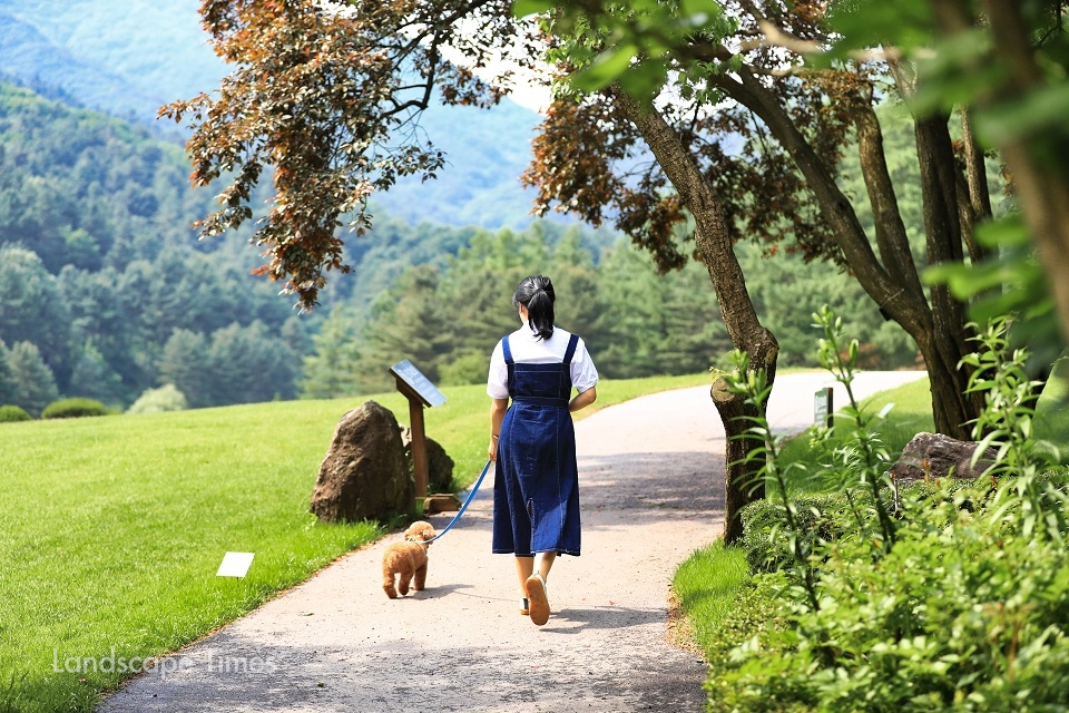 자연 속 산책 코스를 걷는 강아지 모습