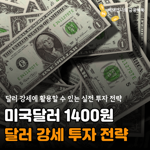 미국 달러 강세 투자 전략 2025
