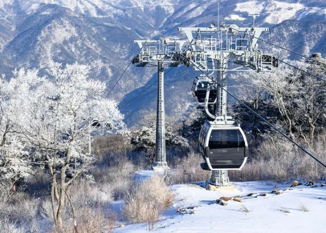 가리왕산 케이블카 예약 운영시간 주차장 할인_6