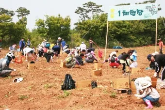 당진해나루황토고구마 홍보판촉행사 축제 장소로 안내_7