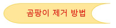 곰팡이 제거 방법