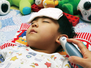 독감 주사 백신 3가 4가 차이 이미지 36