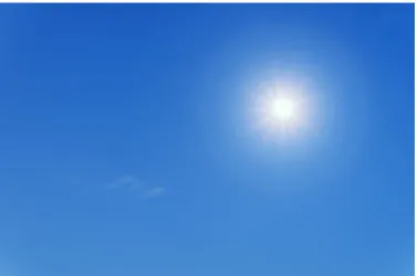 햇볕