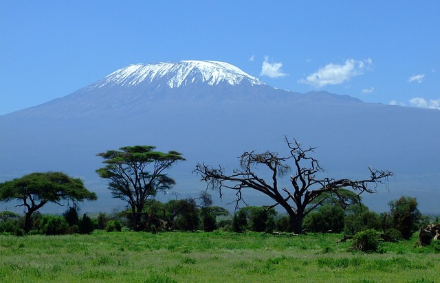 Mount Kilimanjaro 킬리만자로 산
