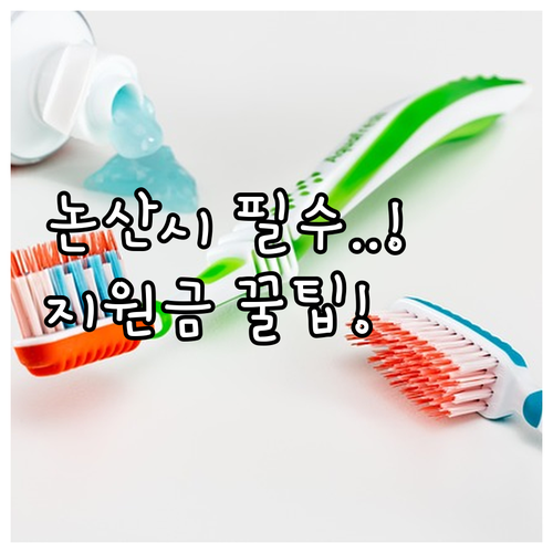 2025 논산시 암환자 의료비 지원,..