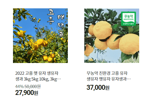 유자 가격비교
