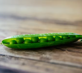 완두콩 효능 부작용 영양성분 먹는법 고르는법