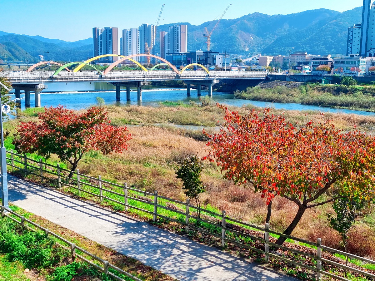 강원도 홍천 테샤로바 카페: 홍천강뷰 그리스식 감성 맛집, 쿠폰 정보