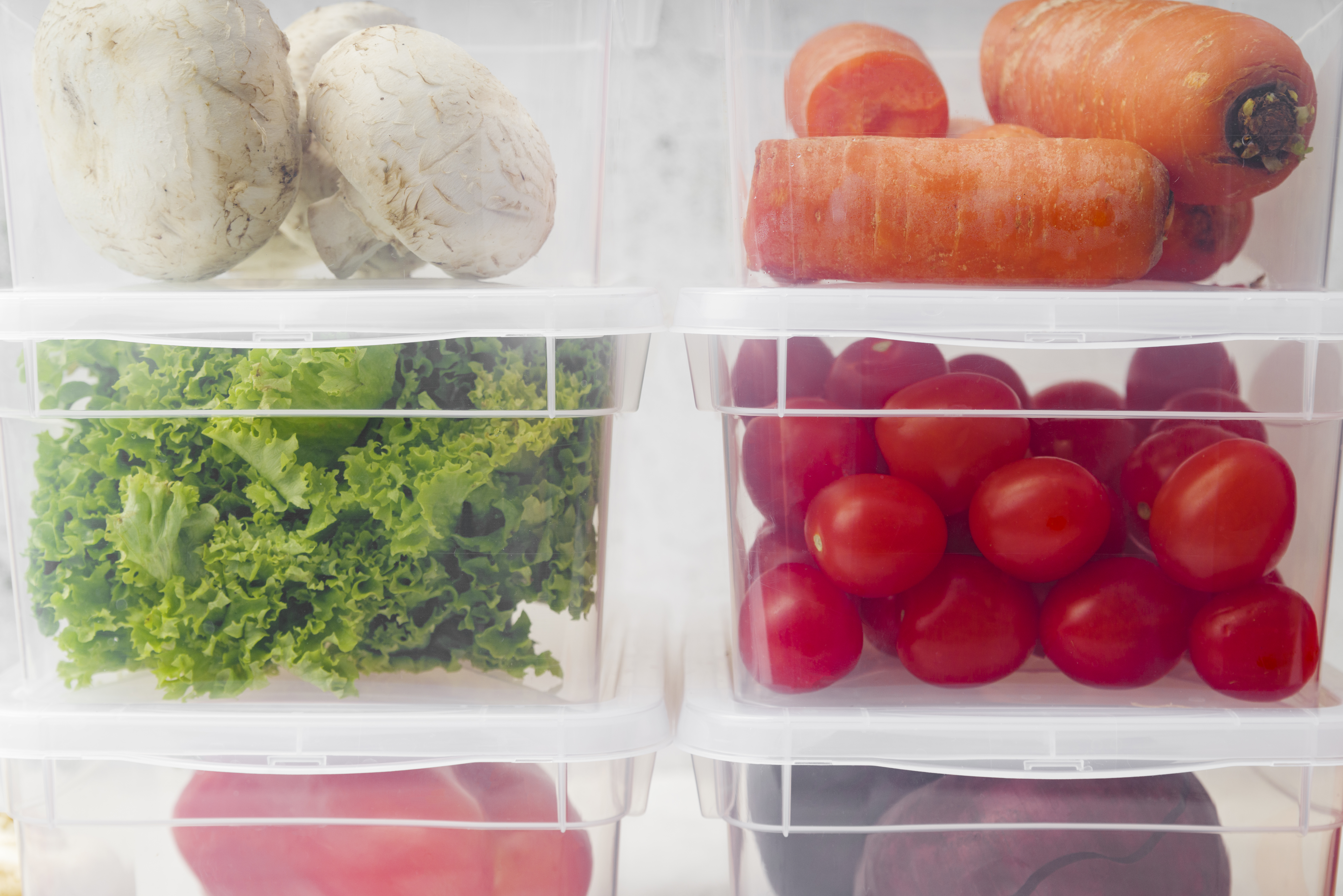 냉장고 안의 채소