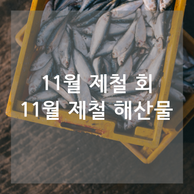 11월회해산물