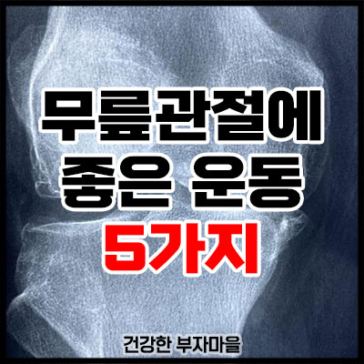 무릎관절에 좋은 운동