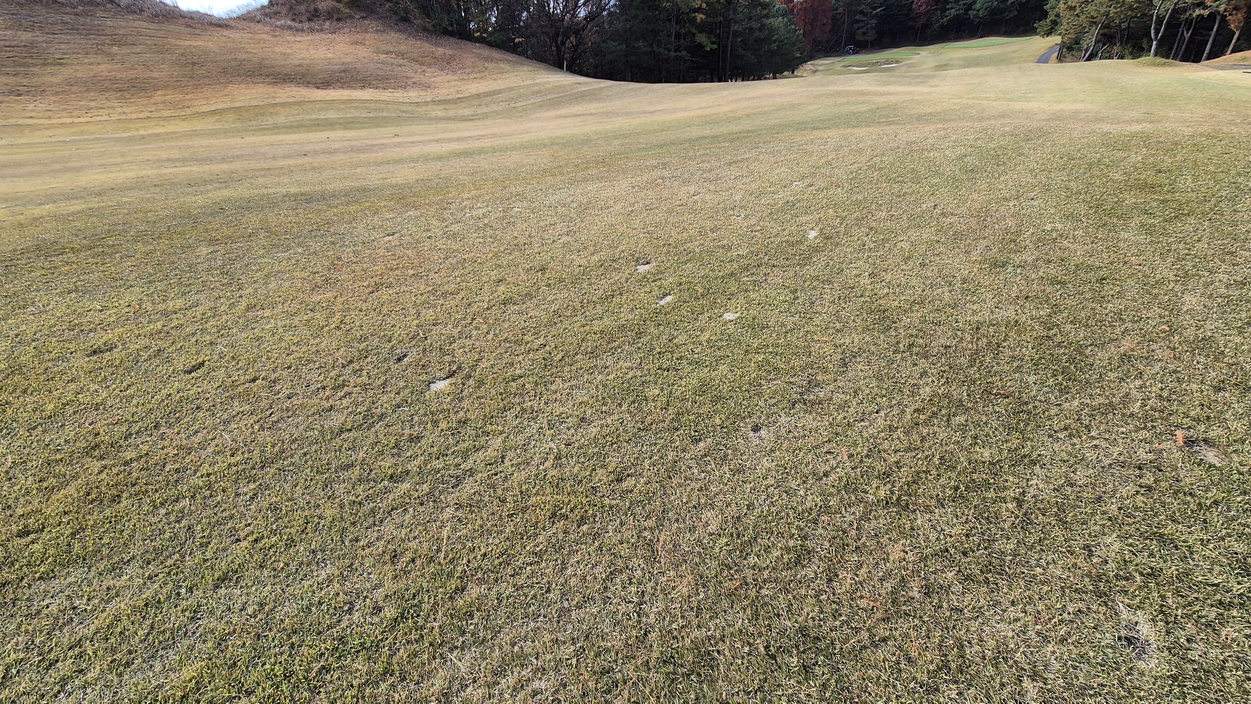 세종에머슨cc 밸리-마운틴 코스난이도