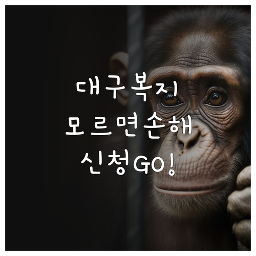 대구 복지멤버십 혜택 및 신청 방법 ..