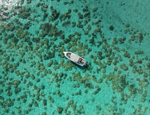 모리셔스와 몰디브 차이점